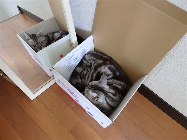 tomdoro_150530-27